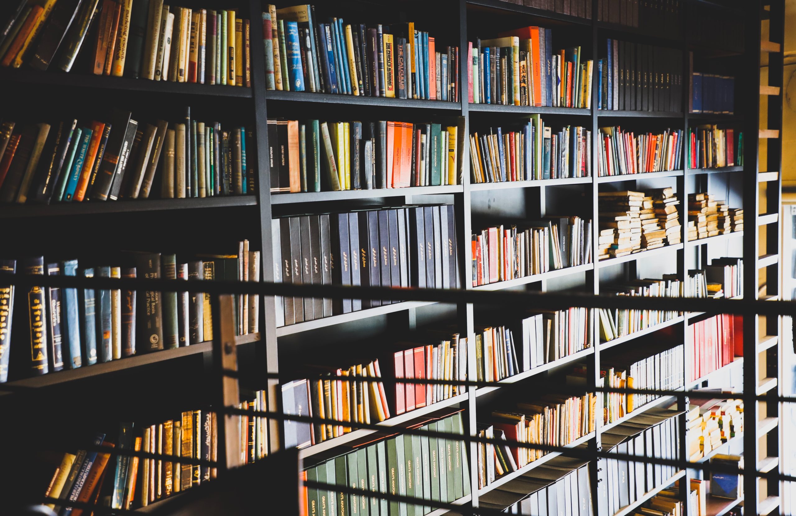 7 must-read books for project managers, besides PMBOK